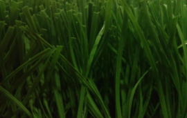 足球场人造草坪-MT-50mmS型深绿单丝